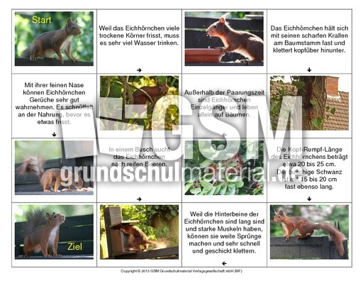 Eichhörnchen-Lese-Domino-1.pdf
